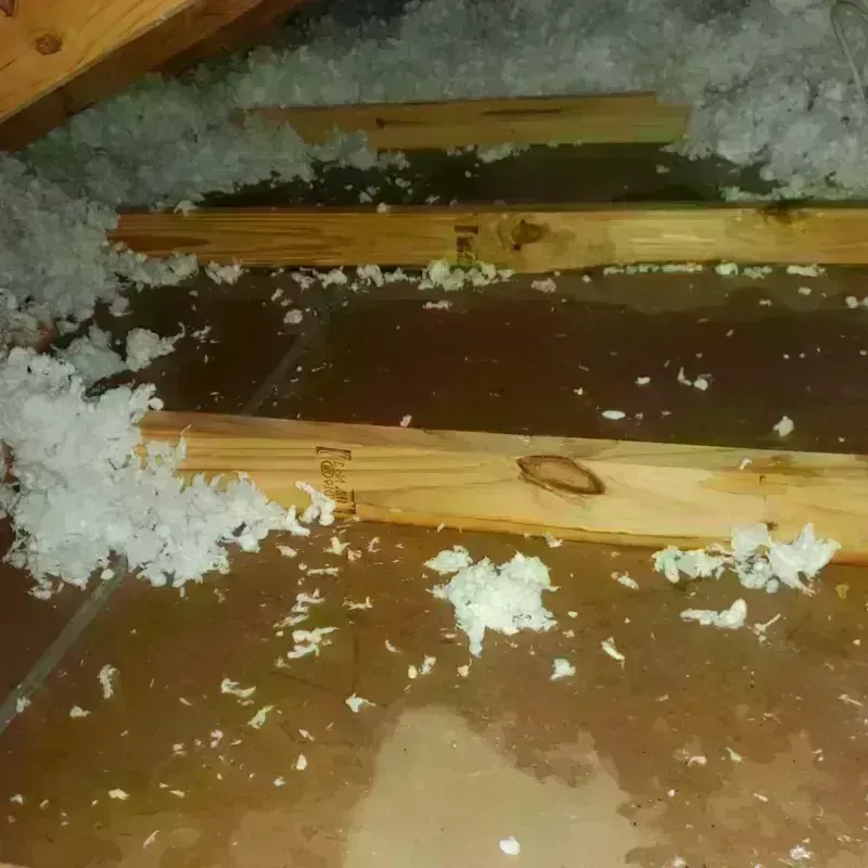 Attic Water Damage in Marion County, KY