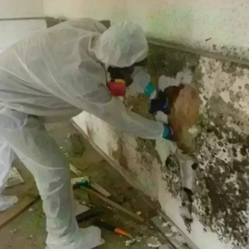 Mold Remediation and Removal in Marion County, KY