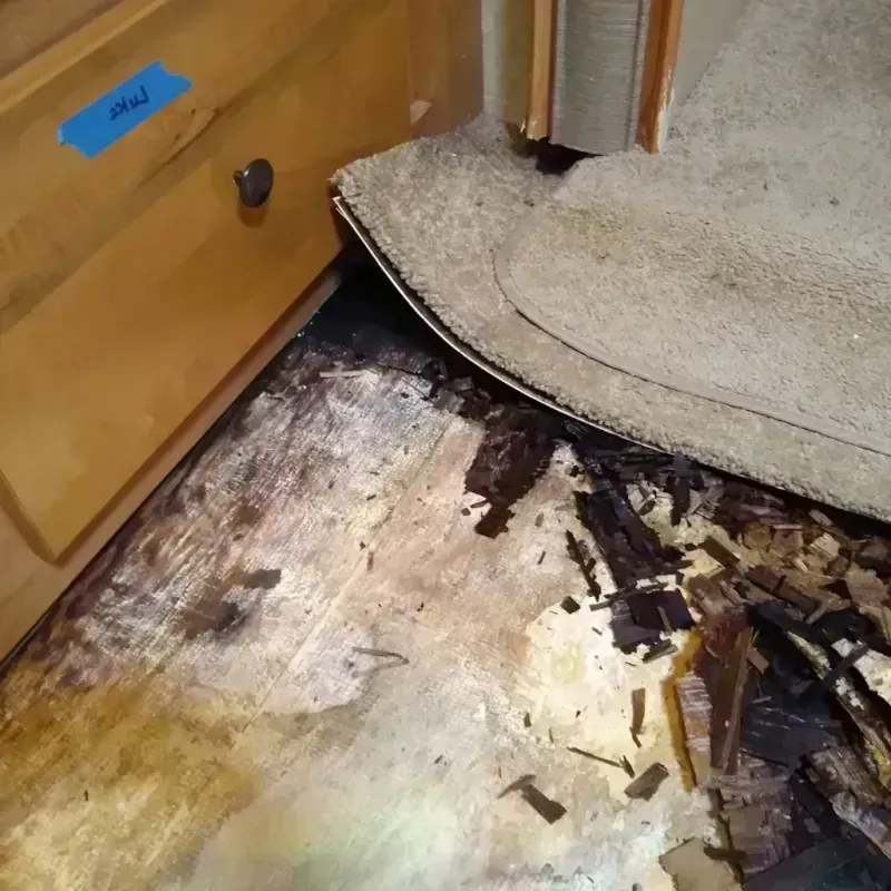 Wood Floor Water Damage in Marion County, KY